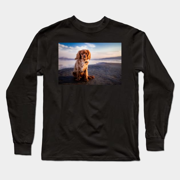 Cavalier King Charles Spaniel Long Sleeve T-Shirt by kawaii_shop